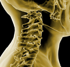 Cervical Spine